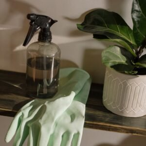 Bathroom Sanitization Service